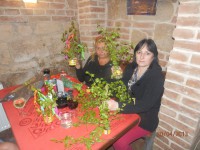 /album/a1/p4302227-jpg/